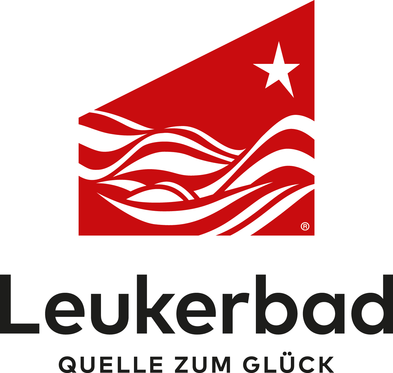 Logo der Firma My Leukerbad AG