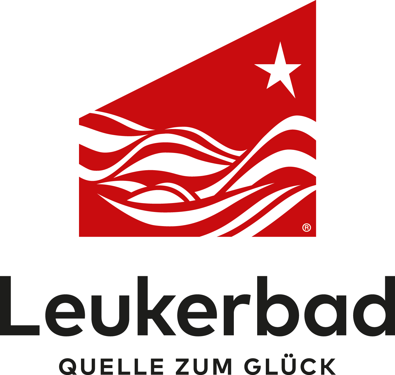 Logo der Firma My Leukerbad AG